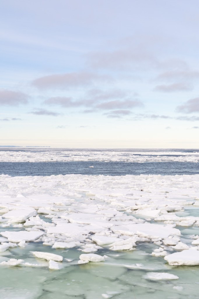 Fleuve St-Laurent dans la glace, Matane, Québec.